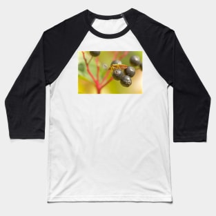 TREES PROVIDE A FRUITFUL LIFE Baseball T-Shirt